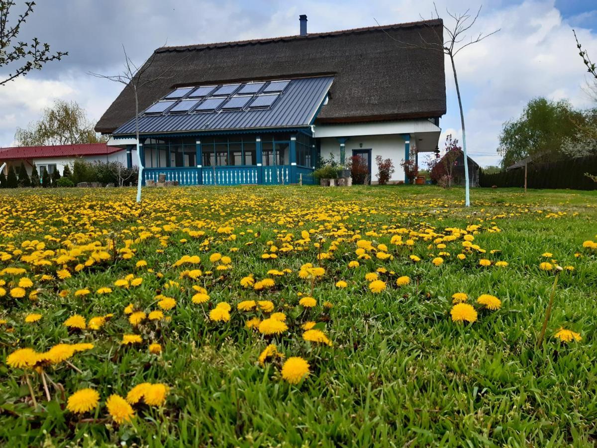 Agropensiunea Beluga Gorgova Exterior foto